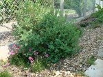 DSC03729.JPG