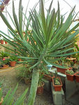 vlcsnap-2011-04-22-20h25m06s227.jpg