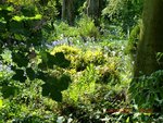 2011-04-23 2 refouillis fond X.jpg