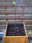 IMG-20110417-00042.jpg