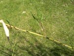 100_3079.JPG