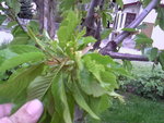 Photos-0001.jpg