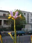 P1100449.jpg