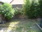 Jardinet 5-1<br />La chélidoine n'a qu'à bien se tenir !<br />Est-ce que je peux remettre ici la terre qu'il y avait dans le gros bac de l'hortensia sans soucis ?<br />Je ne peux pas bouger le bac actuellement.