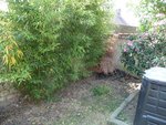 Jardinet 5-2<br />Plus de place actuellement dans le composteur pour mettre le sapin :/