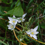 DSC_0871-web.jpg