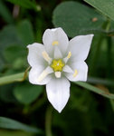 DSC_0872-web.jpg