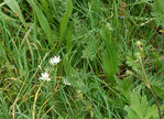 DSC_0874-web.jpg