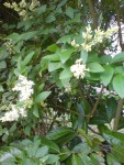 DSC01331.JPG