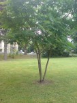 DSC01340.JPG