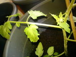 DSC00110.JPG