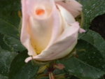 DSCN2158.JPG
