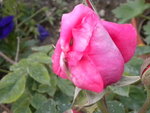DSCN2157.JPG