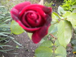 DSCN2156.JPG