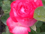 DSCN2159.JPG