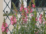 DSCN2160.JPG