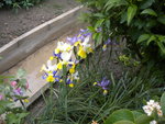 DSCN2161.JPG