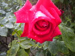 DSCN2166.JPG