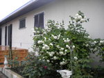 DSCN2167.JPG