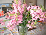 DSCN2181.JPG