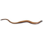 VN715_01_orvet-anguis-fragilis.jpg