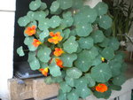 DSCN2178.JPG