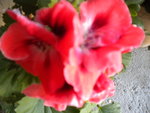 DSCN2179.JPG