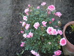 DSCN2182.JPG
