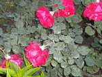 DSCN2183.JPG
