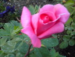 DSCN2185.JPG