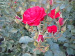 DSCN2187.JPG