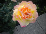 DSCN2189.JPG