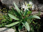 DSC03316 - Copie.JPG