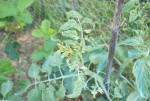 Image00001.jpg
