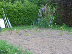 massif_010511_b.jpg