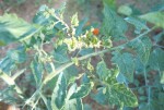 Image00002.jpg