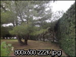 photo001yf.th.jpg