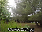 photo002yd.th.jpg