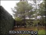 photo005w.th.jpg