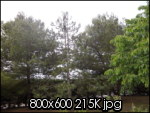 photo006z.th.jpg