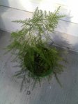 2011-05-01_16-54-49_962.jpg