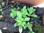 2011-05-01_18-54-51_23.jpg
