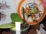 DSC022044.jpg
