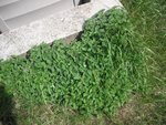 DSCF1039.jpg
