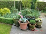 2011-04-26 relooking  terrasse X.jpg