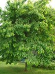 DSC01113.JPG