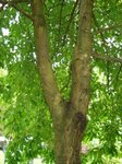 DSC01116.JPG