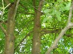 DSC01119.JPG