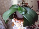 DSC022366.jpg
