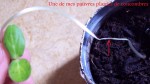 100_6534.JPG